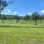 Podere Del Boscaccio Villa *