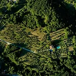 Villa Podere Del Boscaccio