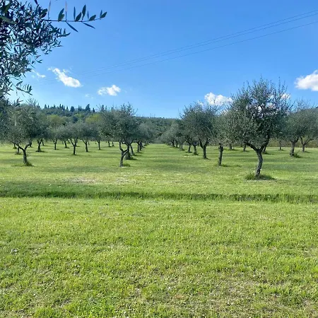 Podere Del Boscaccio Βίλα *