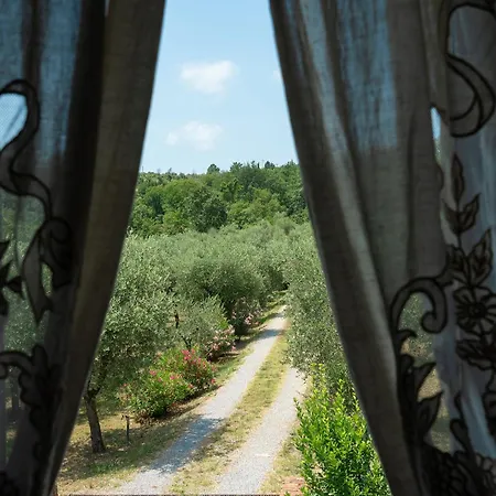Βίλα Podere Del Boscaccio