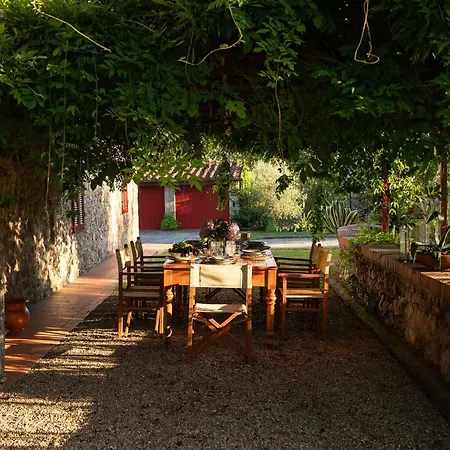 Podere Del Boscaccio *