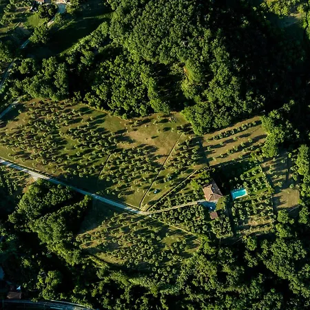 Βίλα Podere Del Boscaccio