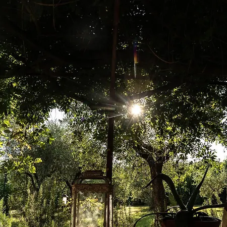 Podere Del Boscaccio Βίλα *
